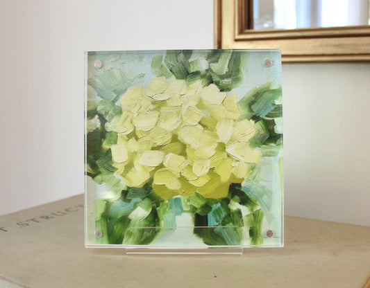 "Declaring Your Splendor" - 5 x 5 Acrylic Framed Print