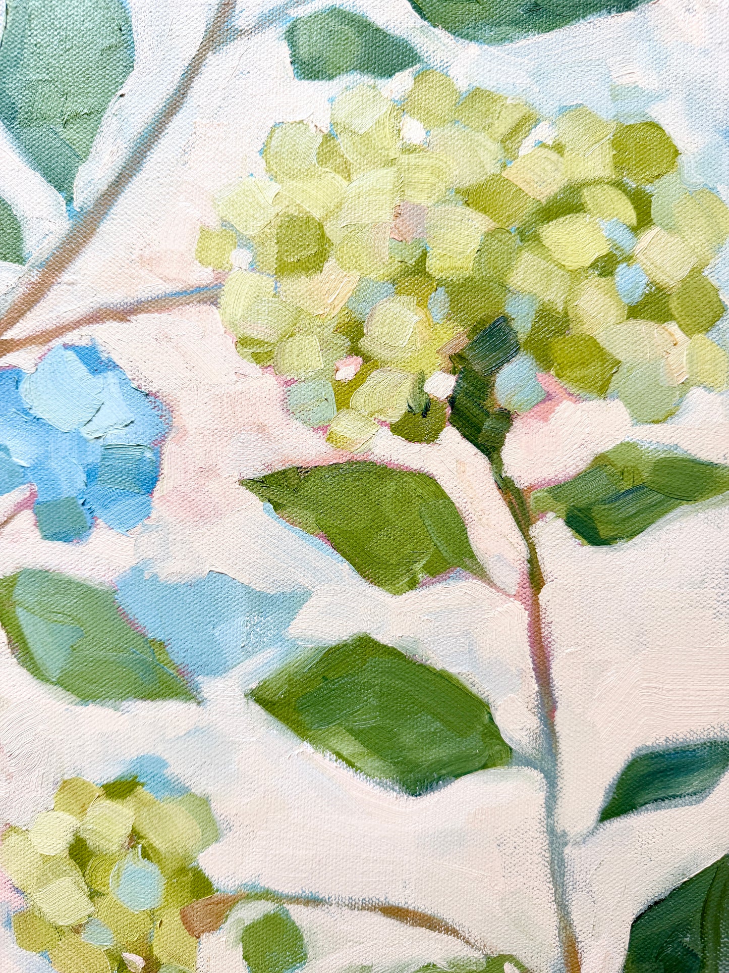 "Flourish" - 24 x 24 Oil on Canvas
